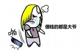 鄂城为什么选择专业追讨公司来处理您的债务纠纷？